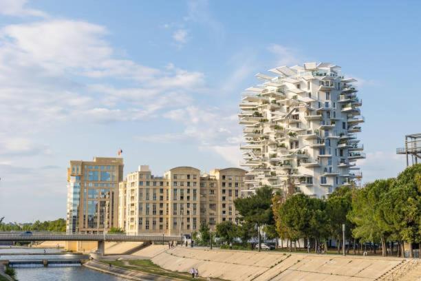 * F3 Haussmannien, Centre-Ville, 4 Pers, Wifi * Монпелье Экстерьер фото