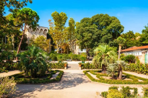 * F3 Haussmannien, Centre-Ville, 4 Pers, Wifi * Монпелье Экстерьер фото